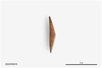 藏品(魚卡子)的圖片